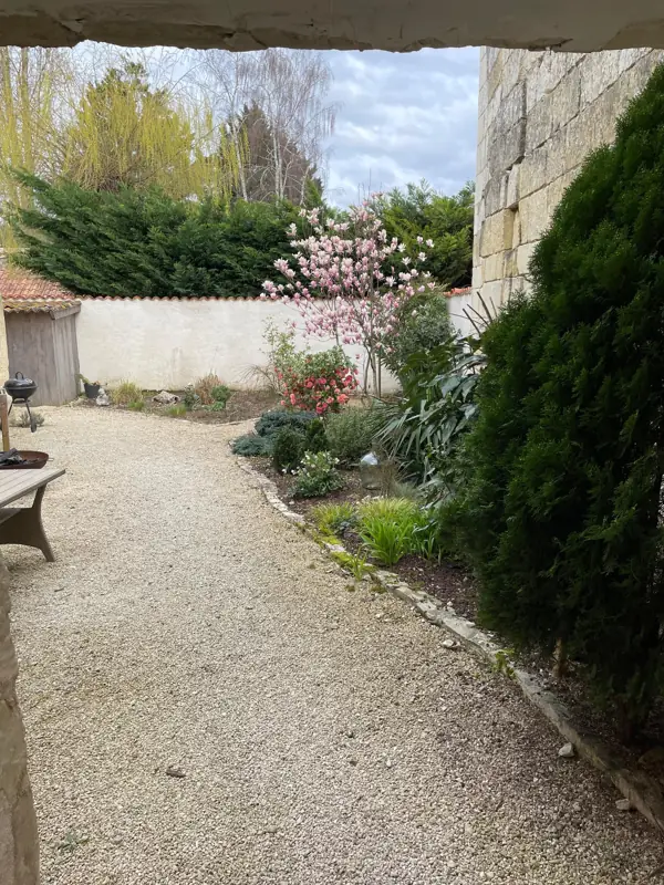 La cour gravillonnée et le magnolia en fleurs, vus depuis l'entrée en pierre.