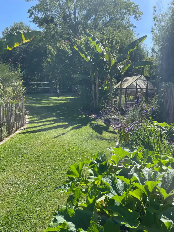 Le potager, les bananiers et la serre, avec la table de ping-pong au fond.