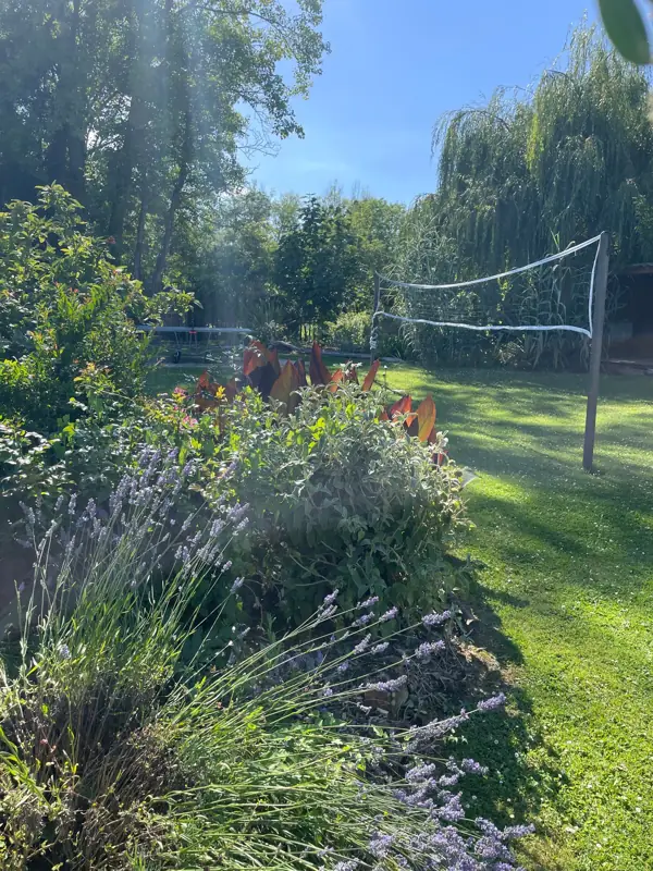Le filet de volley sur la pelouse, derrière un massif de lavande.